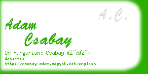 adam csabay business card